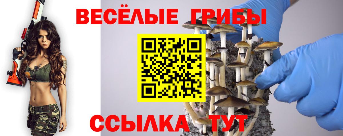 Галлюциногенные грибы Psilocybine cubensis Гуково